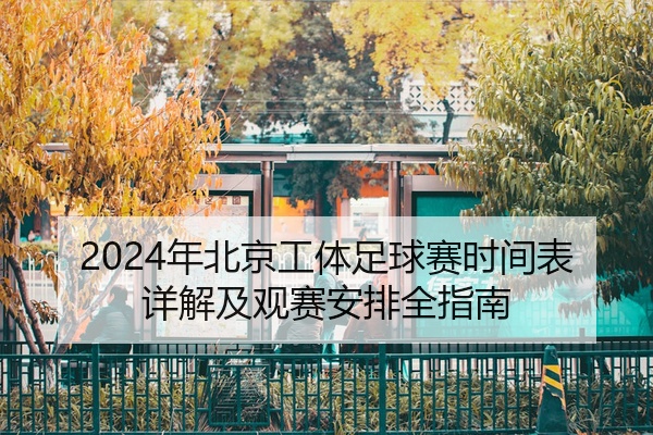 2024年北京工体足球赛时间表详解及观赛安排全指南