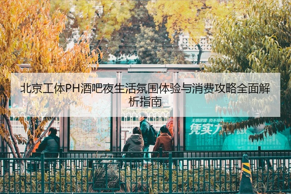 北京工体PH酒吧夜生活氛围体验与消费攻略全面解析指南