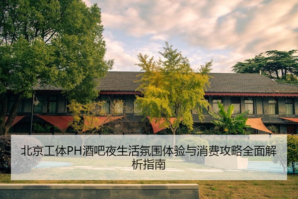 北京工体PH酒吧夜生活氛围体验与消费攻略全面解析指南