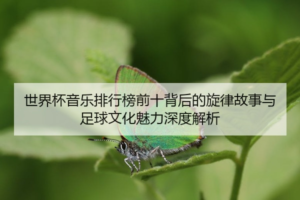 世界杯音乐排行榜前十背后的旋律故事与足球文化魅力深度解析