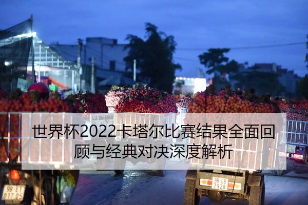 世界杯2022卡塔尔比赛结果全面回顾与经典对决深度解析