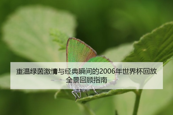 重温绿茵激情与经典瞬间的2006年世界杯回放全景回顾指南