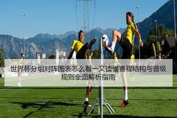 世界杯分组对阵图表怎么看一文读懂赛程结构与晋级规则全面解析指南