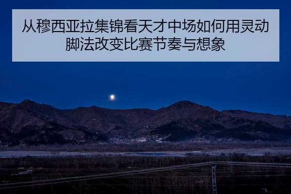 从穆西亚拉集锦看天才中场如何用灵动脚法改变比赛节奏与想象