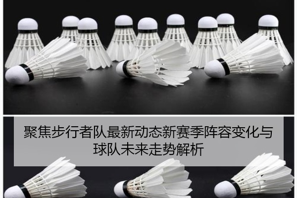 聚焦步行者队最新动态新赛季阵容变化与球队未来走势解析