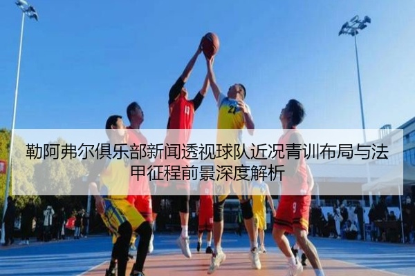 勒阿弗尔俱乐部新闻透视球队近况青训布局与法甲征程前景深度解析