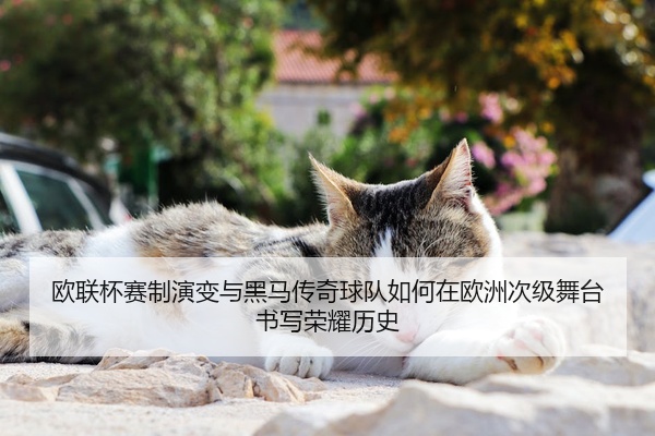 欧联杯赛制演变与黑马传奇球队如何在欧洲次级舞台书写荣耀历史