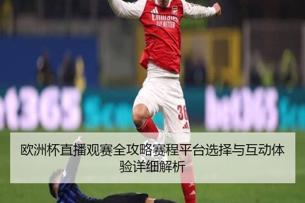 欧洲杯直播观赛全攻略赛程平台选择与互动体验详细解析